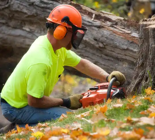 tree services Wayland